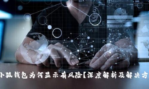  小狐錢包為何顯示有風(fēng)險(xiǎn)？深度解析及解決方案