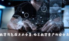 狐貍數(shù)字錢(qián)包圖片大全集