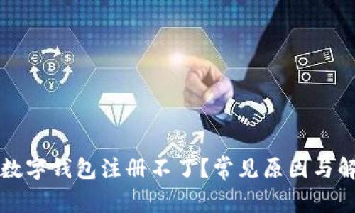為什么數(shù)字錢包注冊不了？常見原因與解決方案