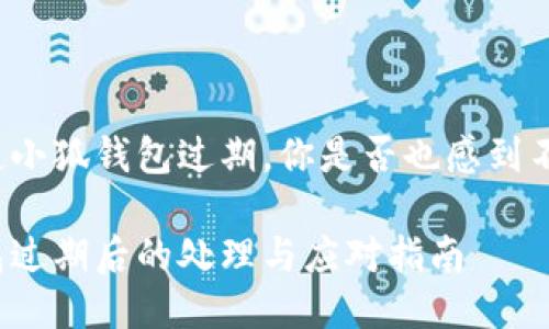 每當(dāng)提起小狐錢包過期，你是否也感到不知所措？

小狐錢包過期后的處理與應(yīng)對(duì)指南
