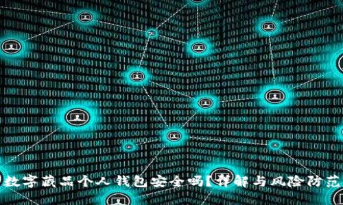 數(shù)字藏品個人錢包安全嗎？詳解與風(fēng)險防范