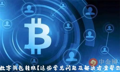 
沒有收到數(shù)字錢包轉(zhuǎn)賬？這些常見問題及解決方案幫你找回資金