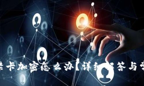 vivo錢包門禁卡加密怎么辦？詳細(xì)解答與常見問題解析