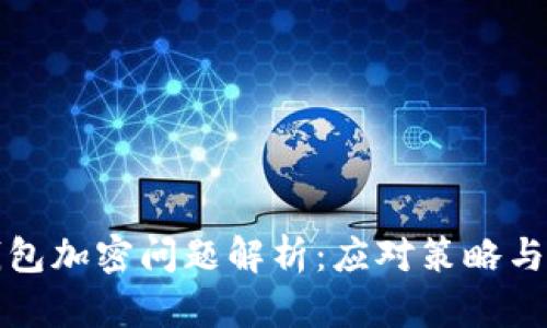 狗狗幣錢包加密問(wèn)題解析：應(yīng)對(duì)策略與解決方案