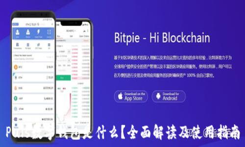   
Puls數字錢包是什么？全面解讀及使用指南