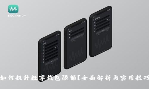 如何提升數(shù)字錢包限額？全面解析與實用技巧