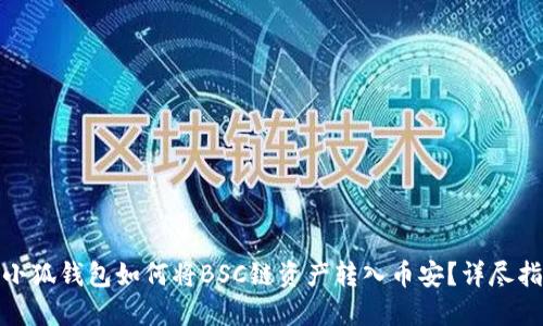 : 小狐錢包如何將BSC鏈資產(chǎn)轉(zhuǎn)入幣安？詳盡指南