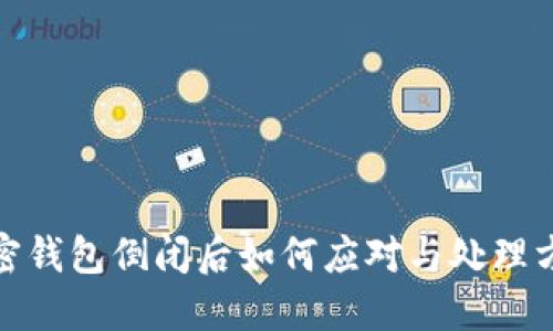 加密錢(qián)包倒閉后如何應(yīng)對(duì)與處理方案