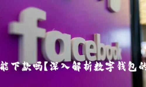 數(shù)字錢包還能下款嗎？深入解析數(shù)字錢包的現(xiàn)狀與未來