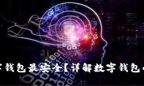 哪種數(shù)字錢包最安全？詳解數(shù)字錢包的安全性