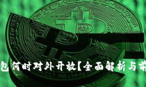 數(shù)字錢包何時對外開放？全面解析與前景展望