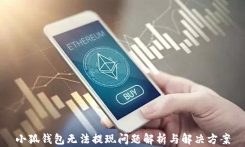 
小狐錢(qián)包無(wú)法提現(xiàn)問(wèn)題解析與解決方案