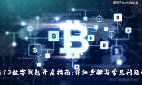 小米13數(shù)字錢包開(kāi)啟指南：詳細(xì)步驟與常見(jiàn)問(wèn)題解答