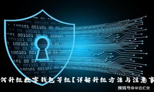 如何升級數字錢包等級？詳解升級方法與注意事項