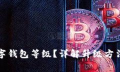 如何升級數(shù)字錢包等級？