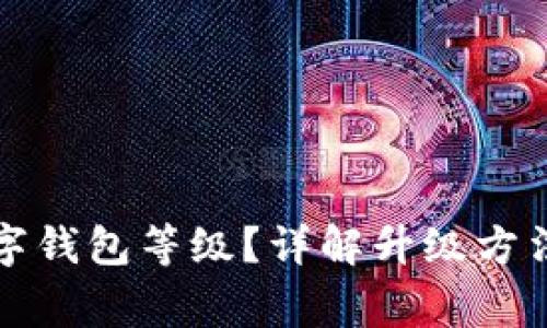如何升級數字錢包等級？詳解升級方法與注意事項
