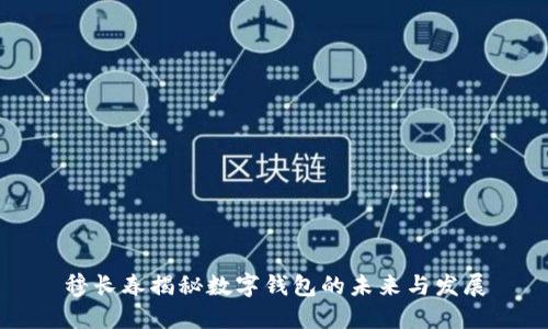 穆長(zhǎng)春揭秘?cái)?shù)字錢包的未來與發(fā)展