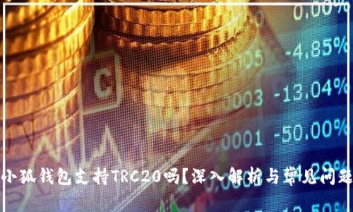 小狐錢包支持TRC20嗎？深入解析與常見問題