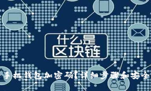 如何給手機錢包加密碼？詳細步驟和安全性分析