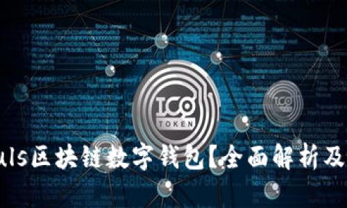 什么是Puls區(qū)塊鏈數(shù)字錢包？全面解析及應(yīng)用前景