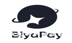 : 數(shù)字錢(qián)包的網(wǎng)絡(luò)依賴(lài)性分