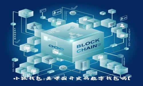 小狐錢包：是中國開發(fā)的數(shù)字錢包嗎？