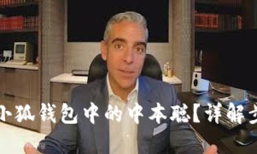 如何找回小狐錢包中的中本聰？詳解步驟與技巧