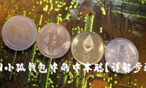 如何找回小狐錢包中的中本聰？詳解步驟與技巧