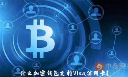 
什么加密錢包支持Visa信用卡？