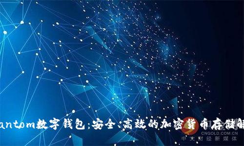 探索Phantom數(shù)字錢包：安全、高效的加密貨幣存儲解決方案