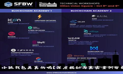  小狐錢包是真的嗎？深度揭秘與真實(shí)案例分析