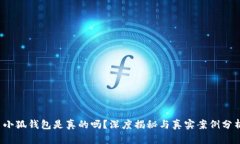  小狐錢包是真的嗎？深度