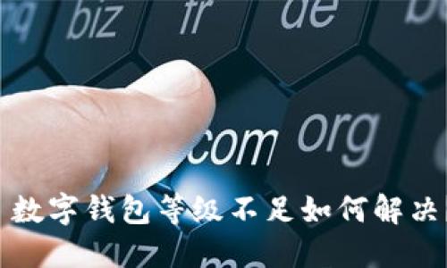  數(shù)字錢包等級不足如何解決？