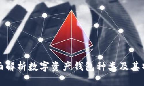 全面解析數(shù)字資產(chǎn)錢包種類及其特點