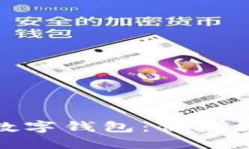 探索印尼的數(shù)字錢(qián)包：便捷支付與安全性