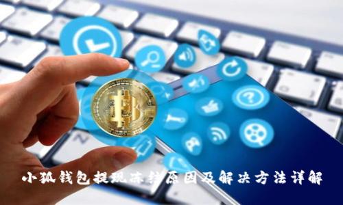 小狐錢包提現(xiàn)凍結原因及解決方法詳解