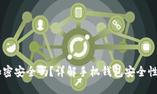 手機錢包加密安全嗎？詳解手機錢包安全性的方方面面