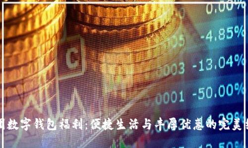 美團數(shù)字錢包福利：便捷生活與豐厚優(yōu)惠的完美結合