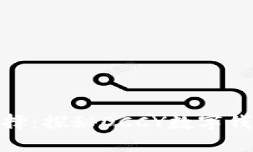 數(shù)字時(shí)代的新選擇：探秘DCCY數(shù)字錢(qián)包的便利與安全