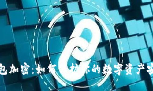 錢(qián)包加密：如何保護(hù)你的數(shù)字資產(chǎn)安全