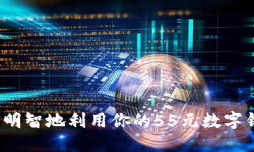 如何明智地利用你的55元數(shù)字錢包？