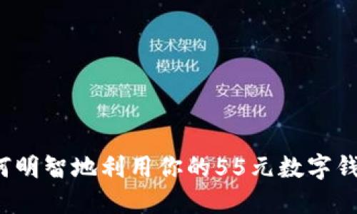 如何明智地利用你的55元數(shù)字錢包？