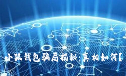 小狐錢包騙局揭秘：真相如何？