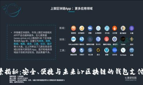 區(qū)塊鏈錢包支付的全景揭秘：安全、便捷與未來br區(qū)塊鏈的錢包支付：安全與便捷的未來br