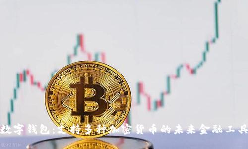 數(shù)字錢包：支持多種加密貨幣的未來(lái)金融工具