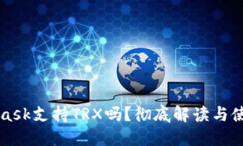 MetaMask支持TRX嗎？徹底解讀與使用指南