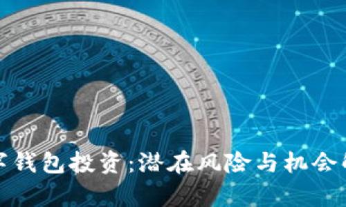 數(shù)字錢包投資：潛在風(fēng)險與機會解析