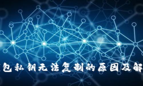 小狐錢包私鑰無法復制的原因及解決方法