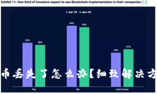 小狐錢包幣丟失了怎么辦？細(xì)致解決方案大揭秘