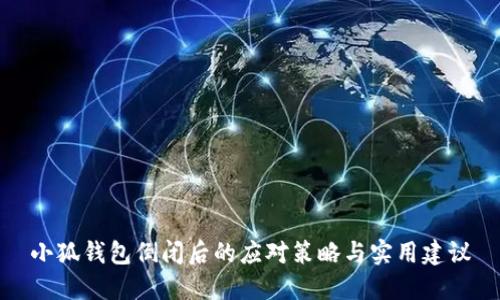 小狐錢包倒閉后的應(yīng)對(duì)策略與實(shí)用建議
